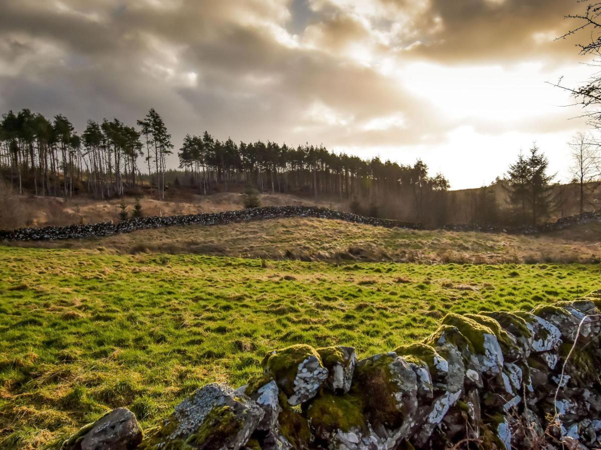 Borgan Cottage Newton Stewart Esterno foto